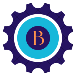 Blinq Network